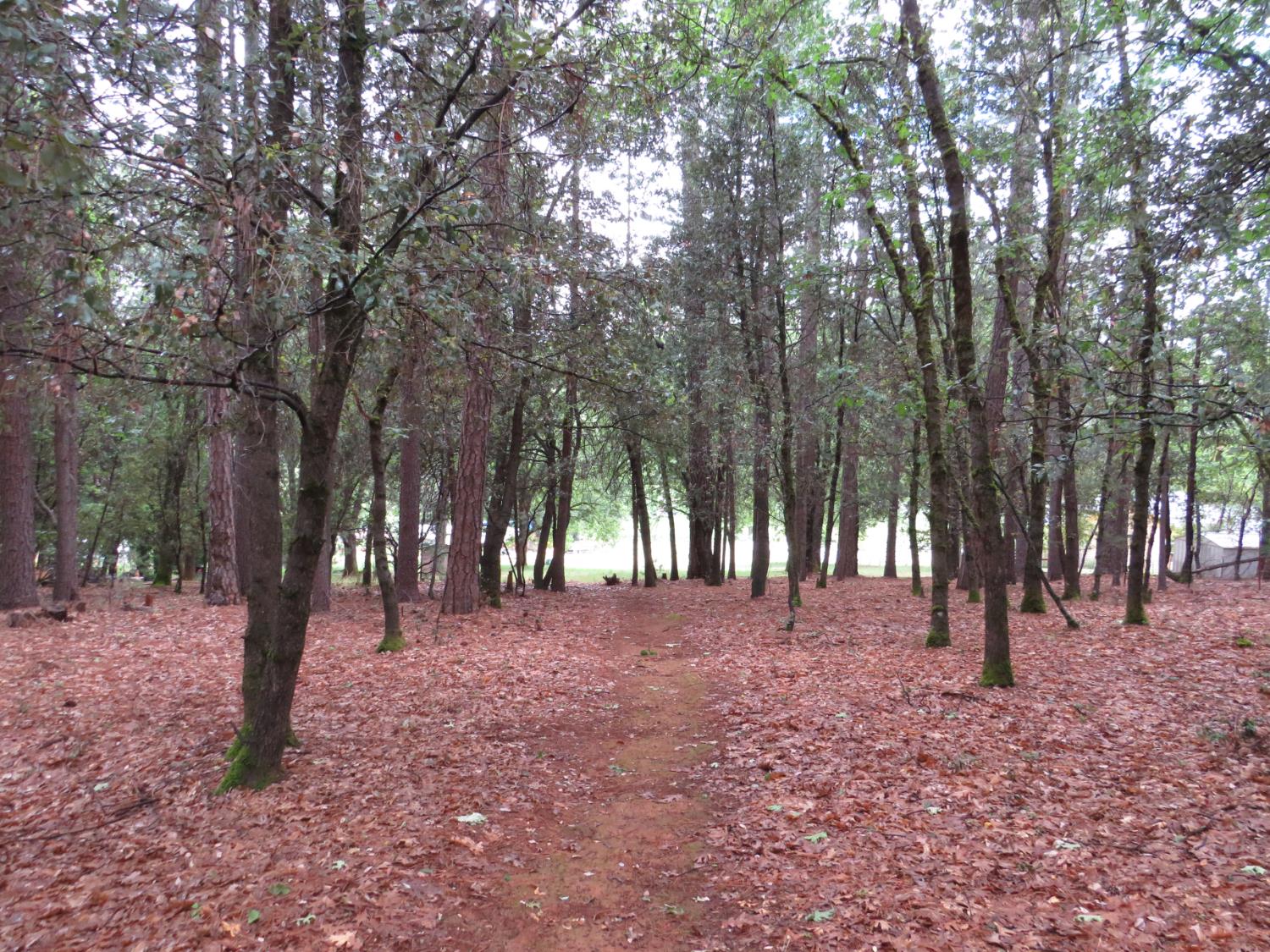 Chattering Pines Road, Grass Valley, California image 18