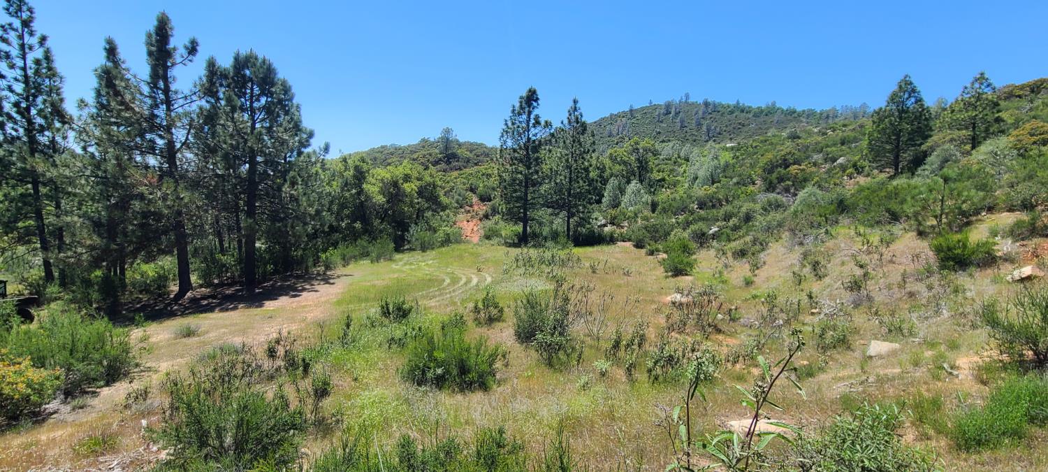 Lyons Bald Mountain Road, Sonora, California image 16