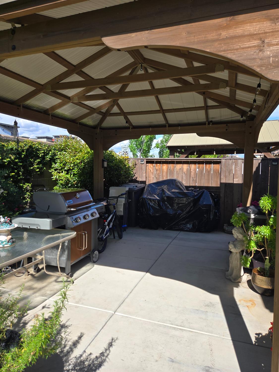 Isabella Drive, Lodi, California image 20