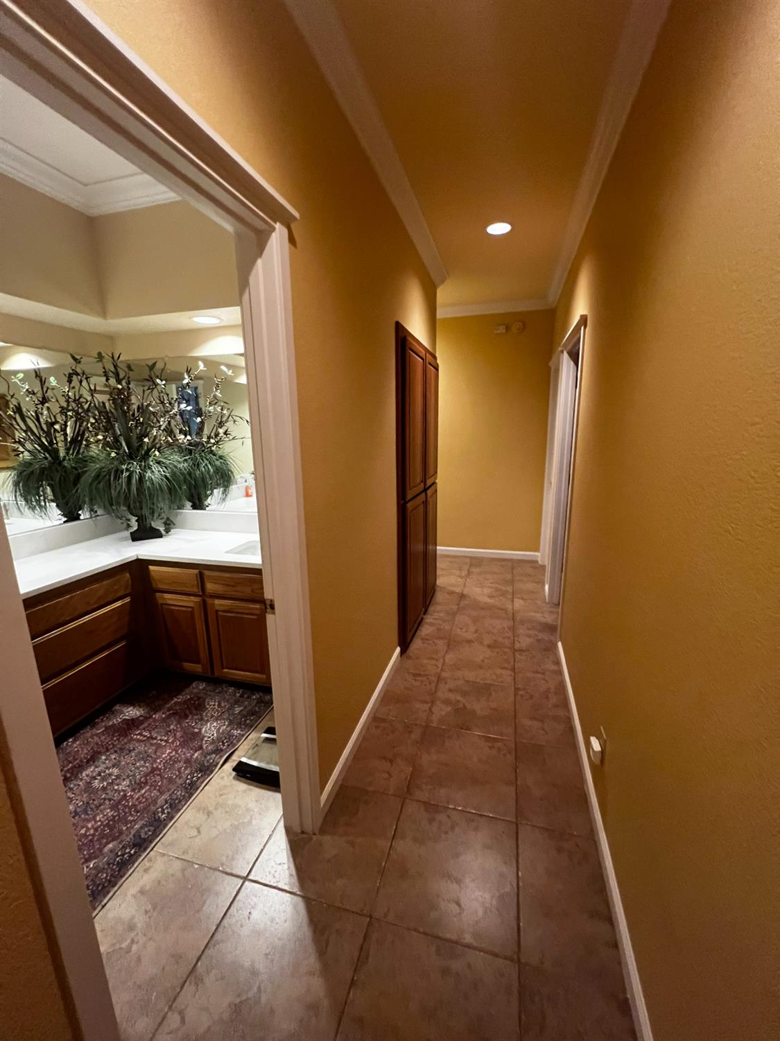 Chex Court, Elk Grove, California image 12