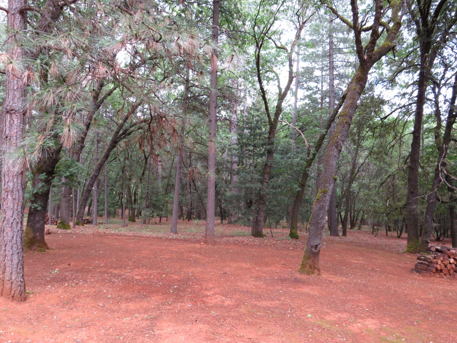 Chattering Pines Road, Grass Valley, California image 14