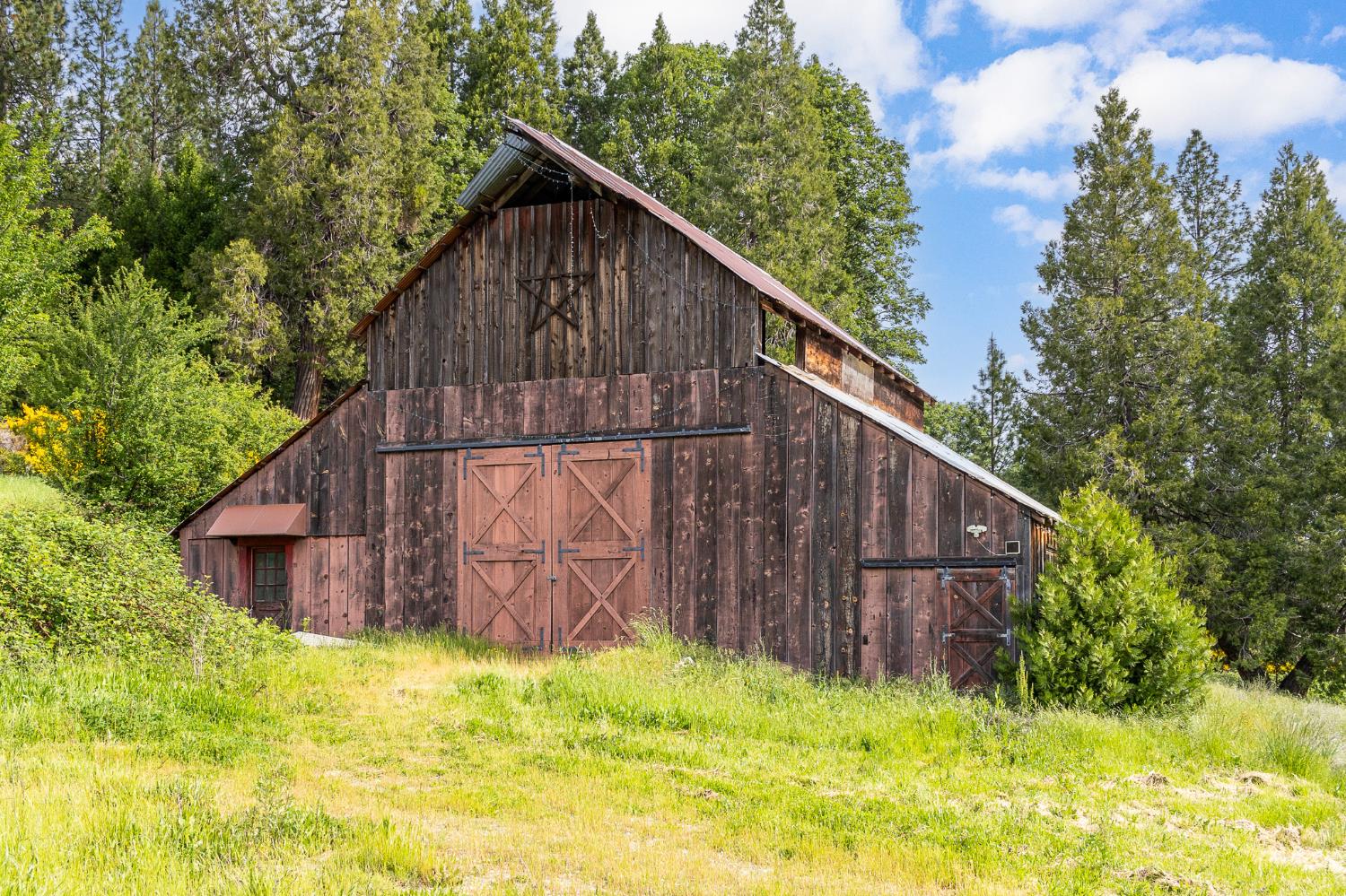 Detail Gallery Image 7 of 37 For 29658 State Highway 49, North San Juan,  CA 95960 - 3 Beds | 1 Baths