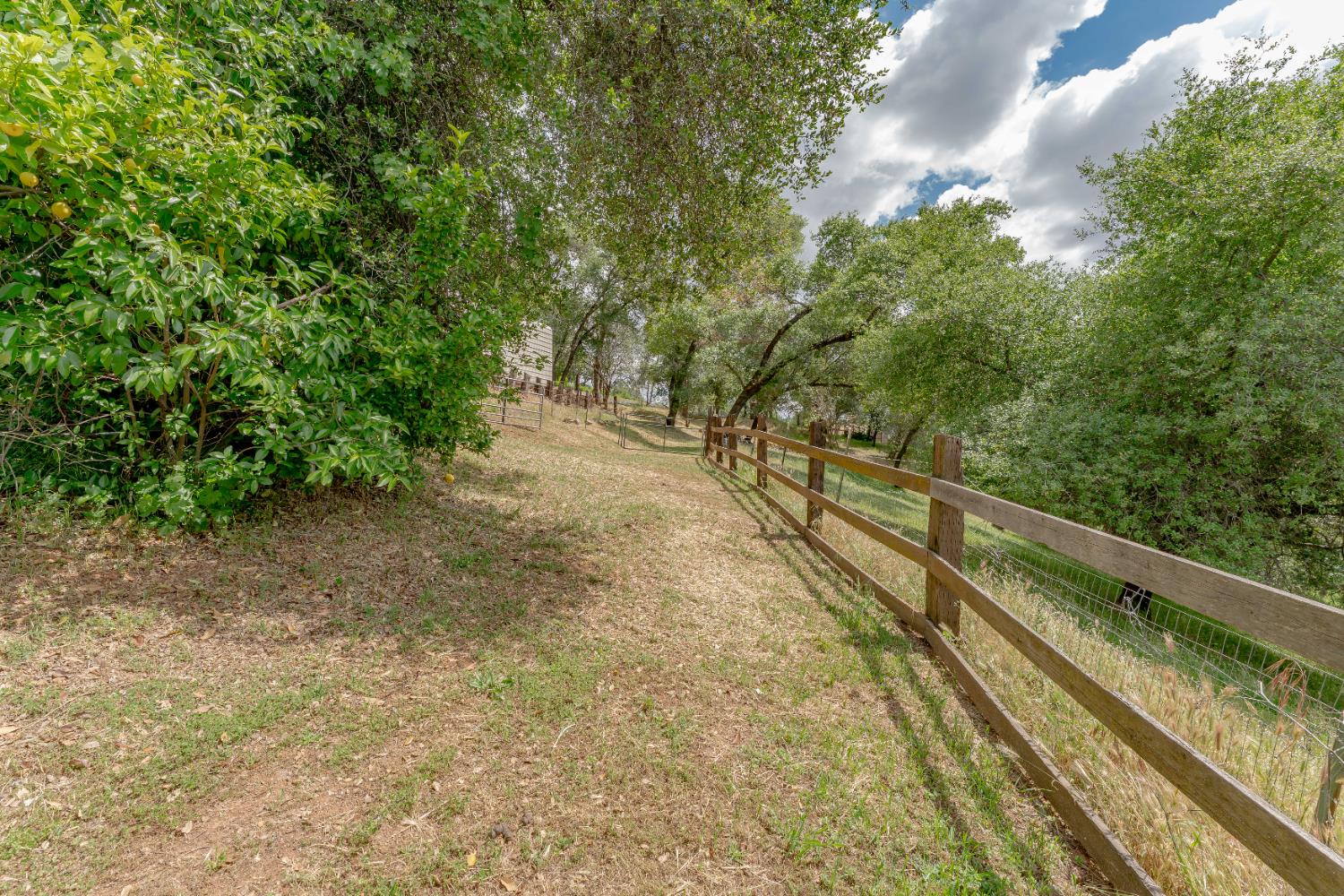 Detail Gallery Image 43 of 63 For 257 Cheyenne Ln, Auburn,  CA 95603 - 3 Beds | 3 Baths