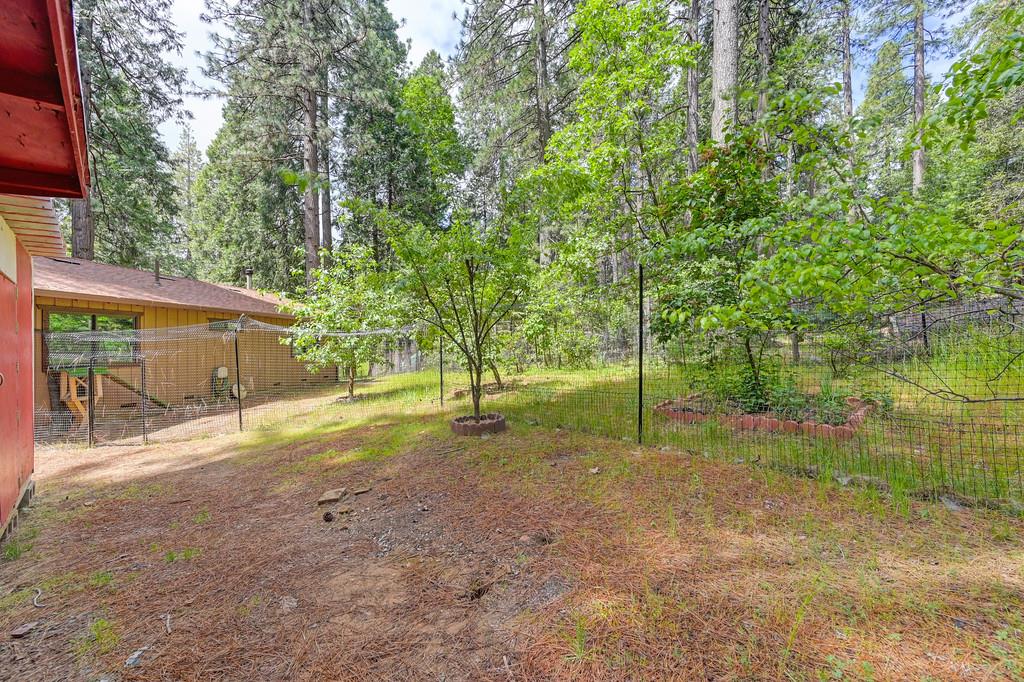 Detail Gallery Image 52 of 59 For 26149 Buckhorn Ln, Pioneer,  CA 95666 - 2 Beds | 1 Baths