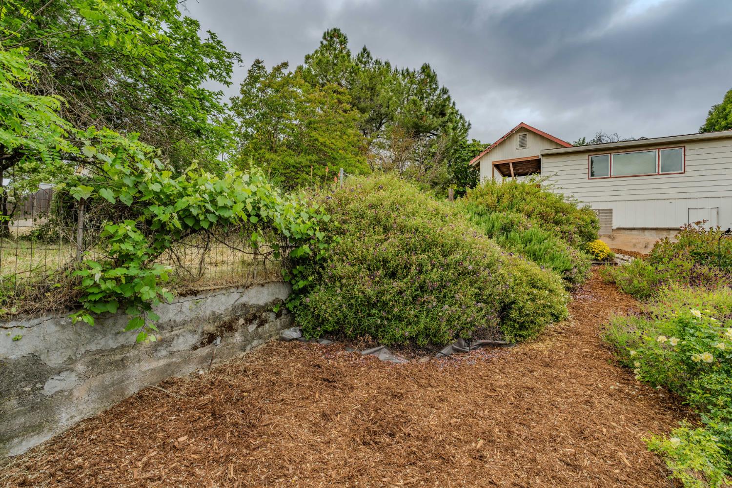 Detail Gallery Image 26 of 72 For 315 Water St, Jackson,  CA 95642 - 3 Beds | 1/1 Baths