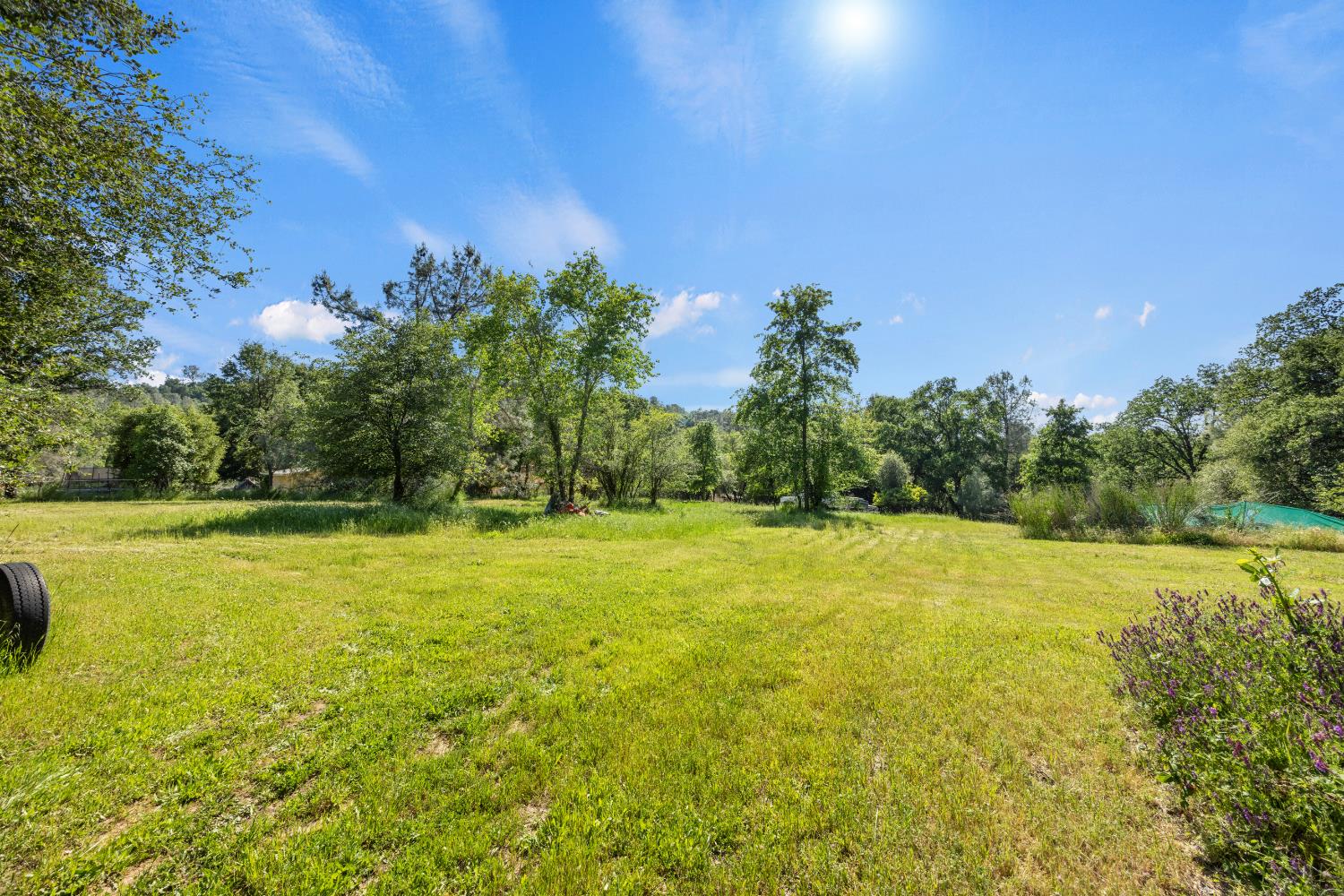 Forni Road, Placerville, California image 40