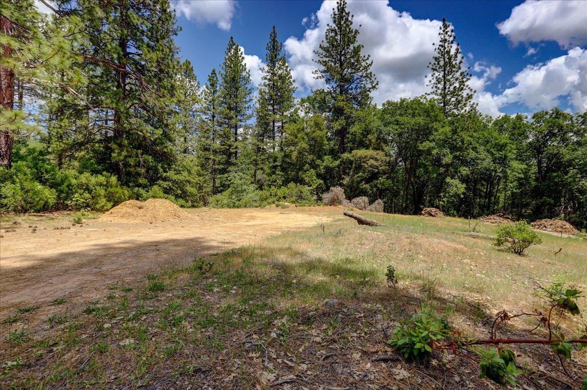 Detail Gallery Image 57 of 63 For 16856 Red Dog Rd, Nevada City,  CA 95959 - – Beds | – Baths
