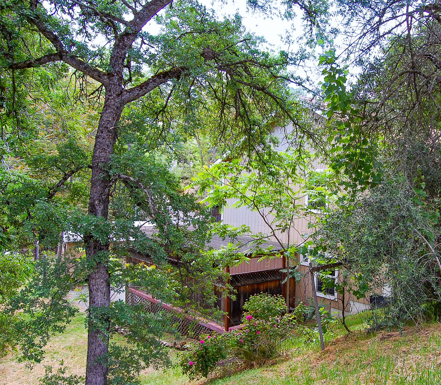Prospect Street, Mokelumne Hill, California image 17