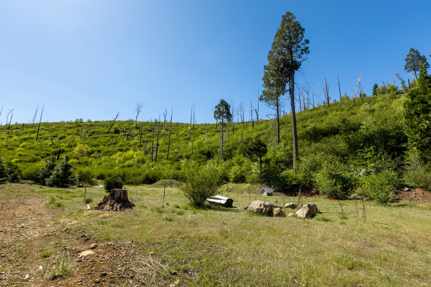 Detail Gallery Image 4 of 30 For 40 Wentworth Springs Rd, Georgetown,  CA 95634 - – Beds | – Baths