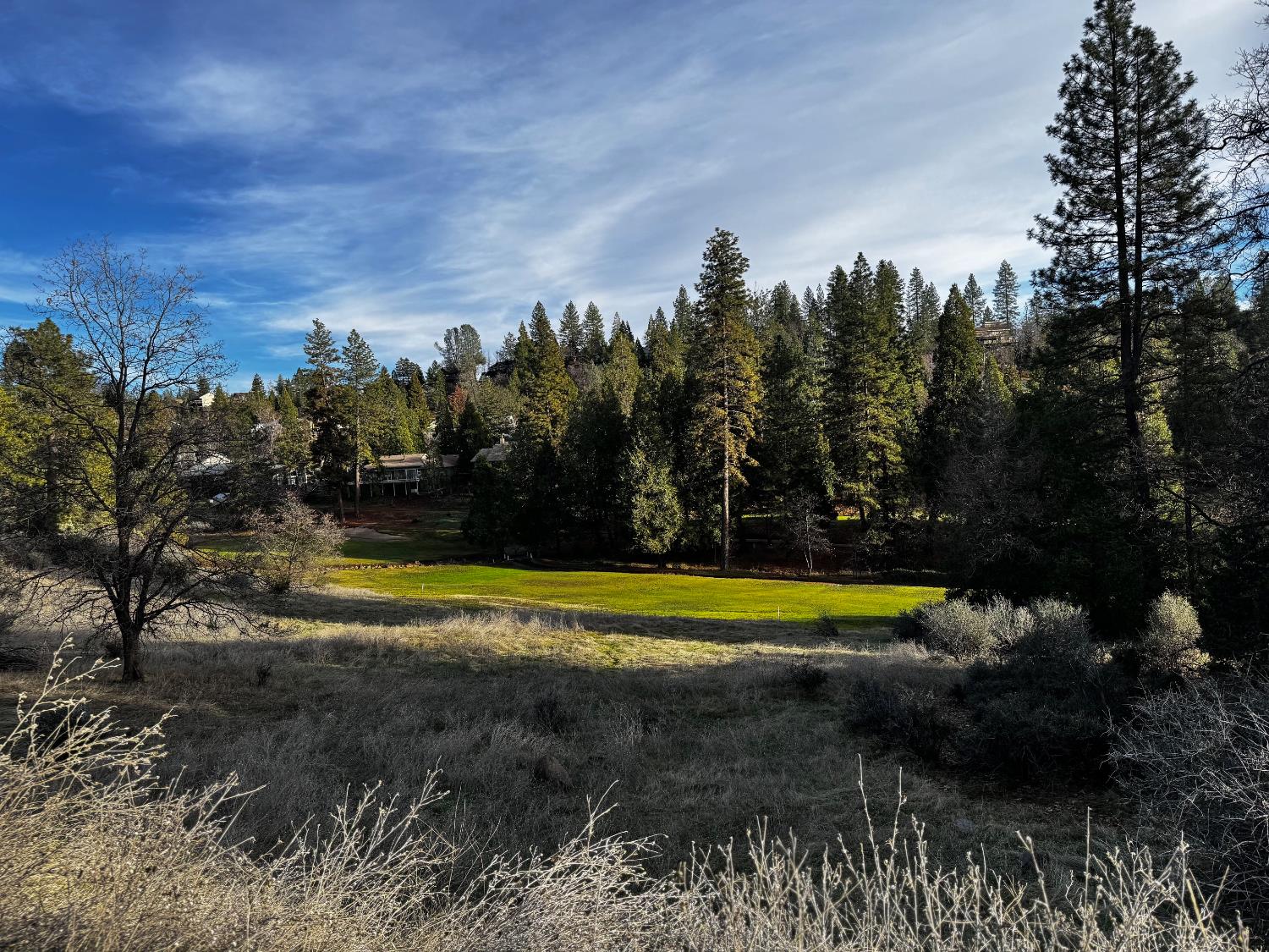 Forest Meadows Drive, Murphys, California image 5