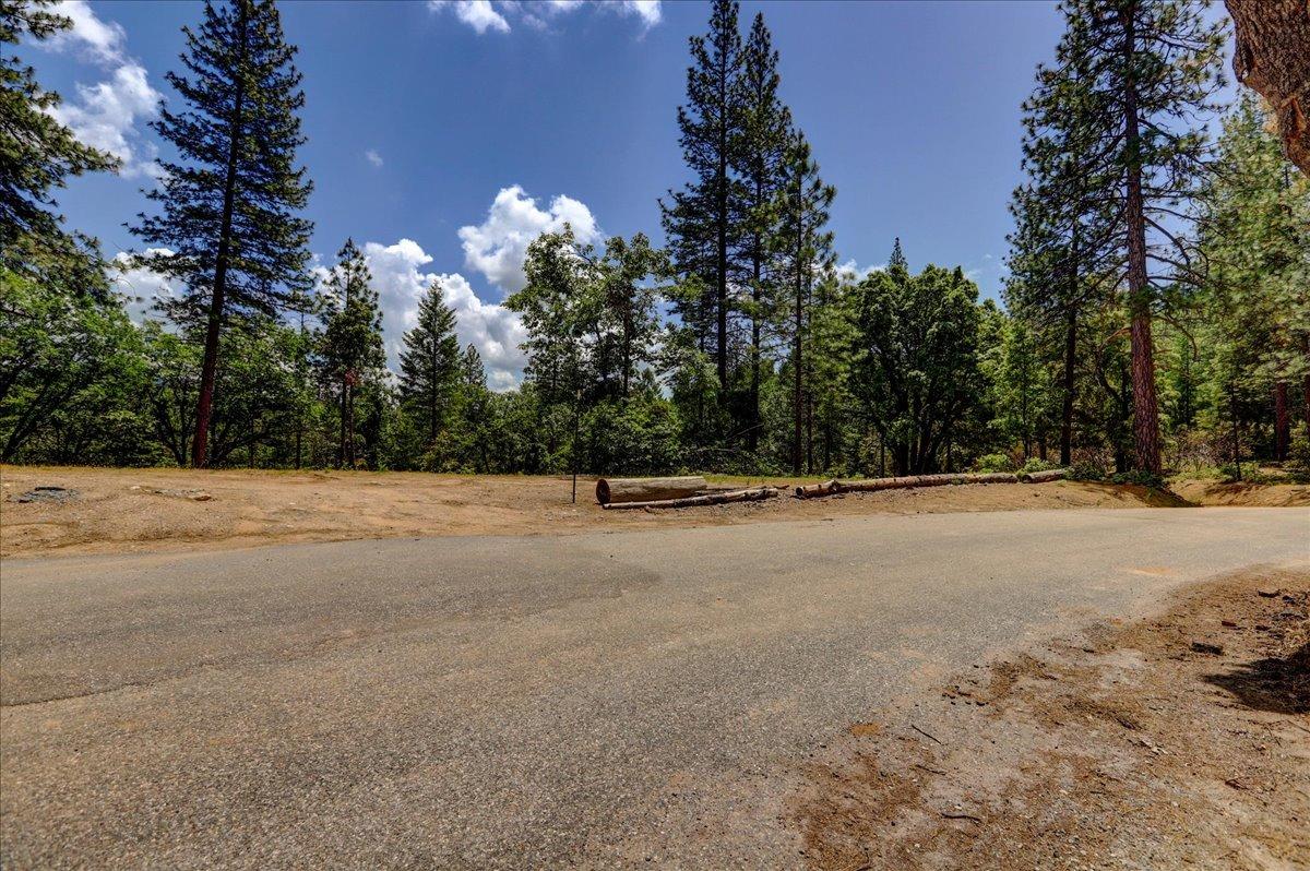 Red Dog Road, Nevada City, California image 40
