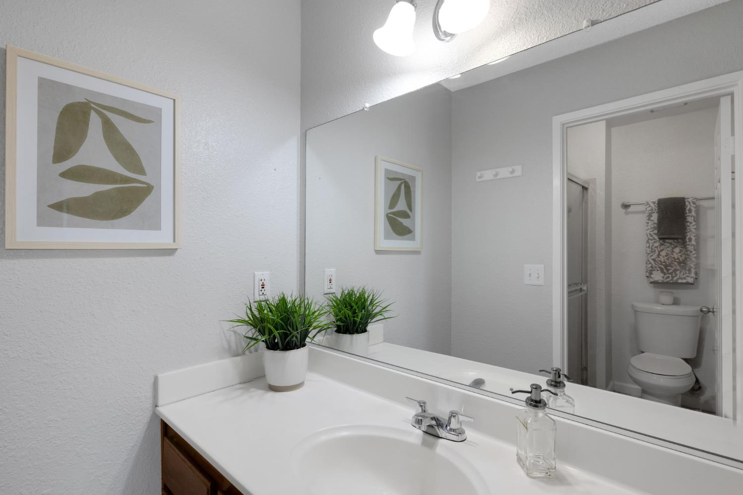 Photo #13: 225062659 Listing: Photo #13