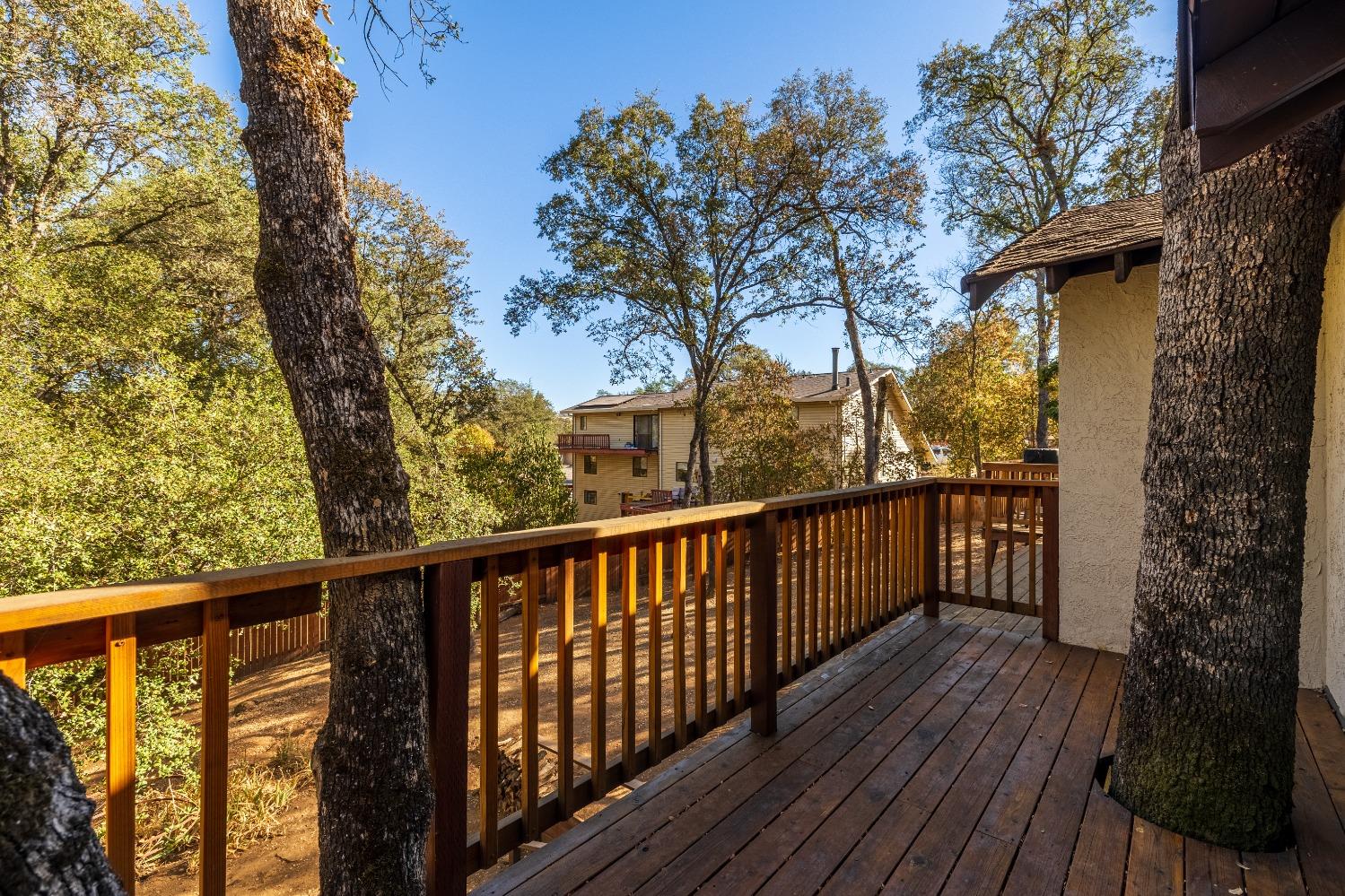 King Richard Drive, El Dorado Hills, California image 19