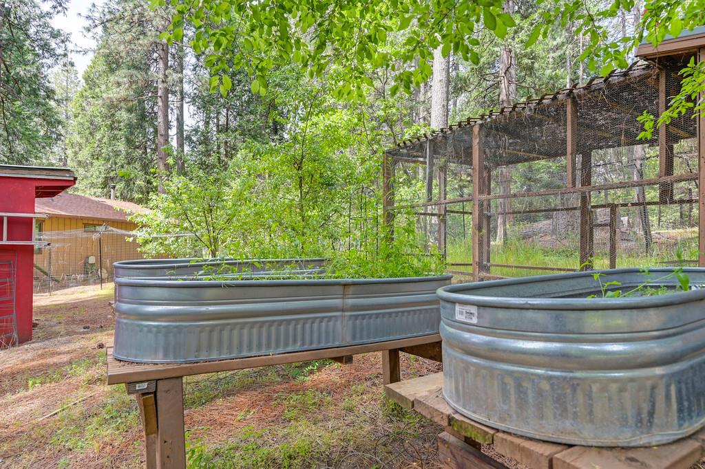 Detail Gallery Image 51 of 59 For 26149 Buckhorn Ln, Pioneer,  CA 95666 - 2 Beds | 1 Baths