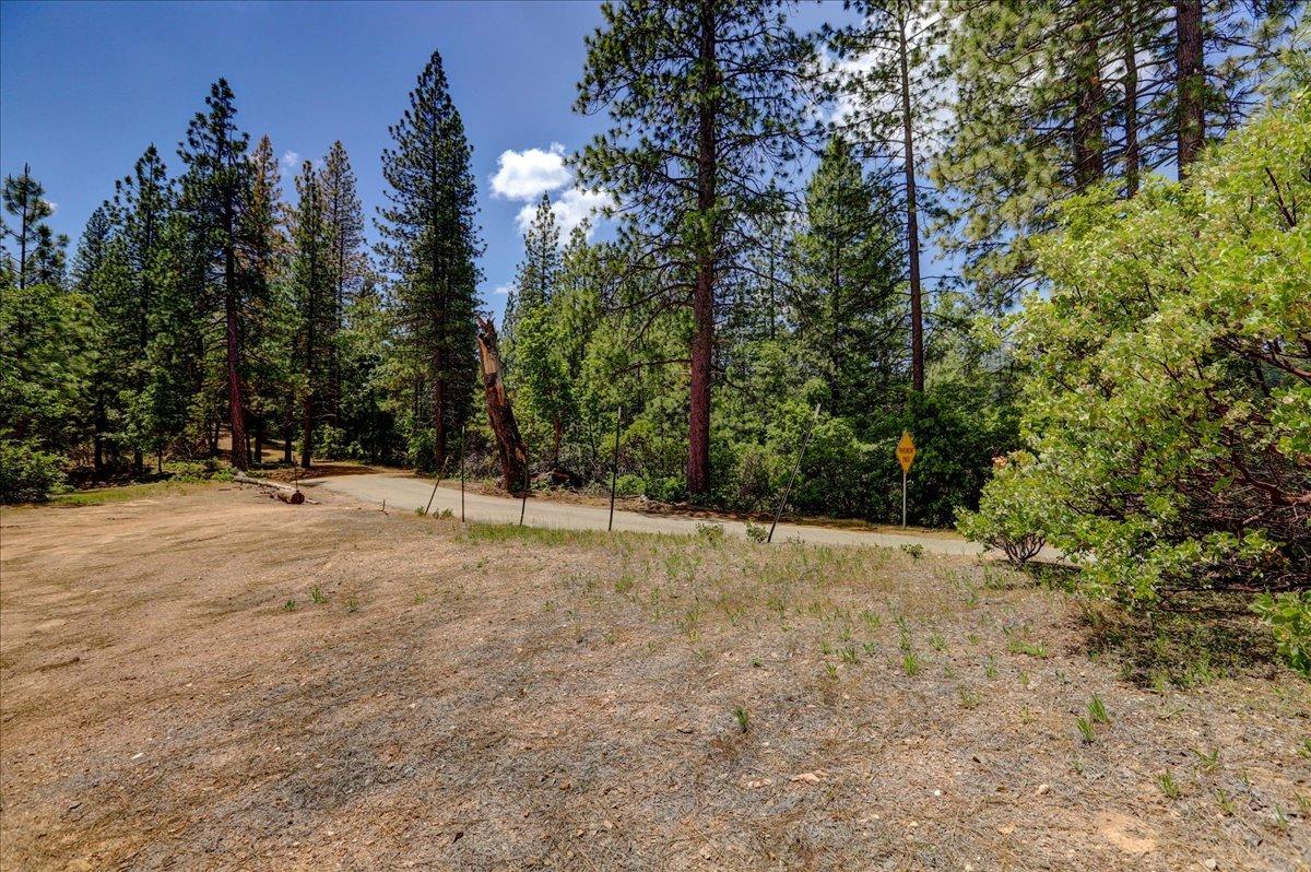 Red Dog Road, Nevada City, California image 37
