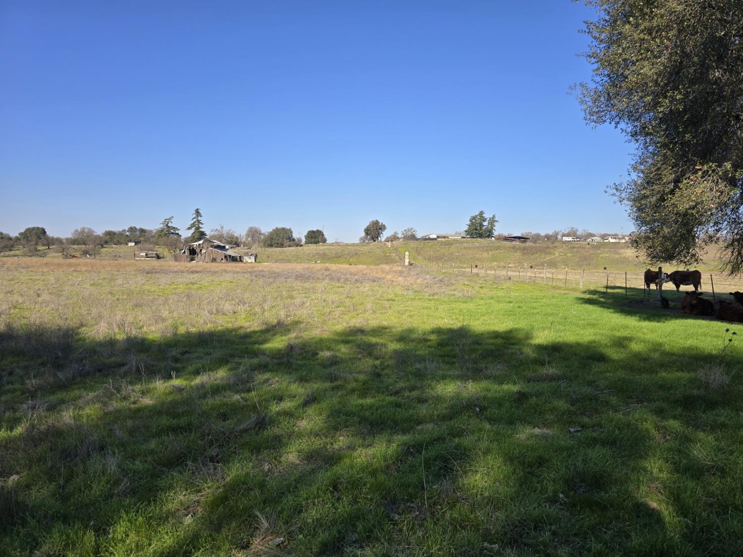 Detail Gallery Image 14 of 20 For 15601 Orange Blossom Rd, Oakdale,  CA 95361 - 2 Beds | 2 Baths