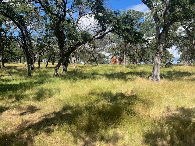#B Peoria Road, Browns Valley, California image 4