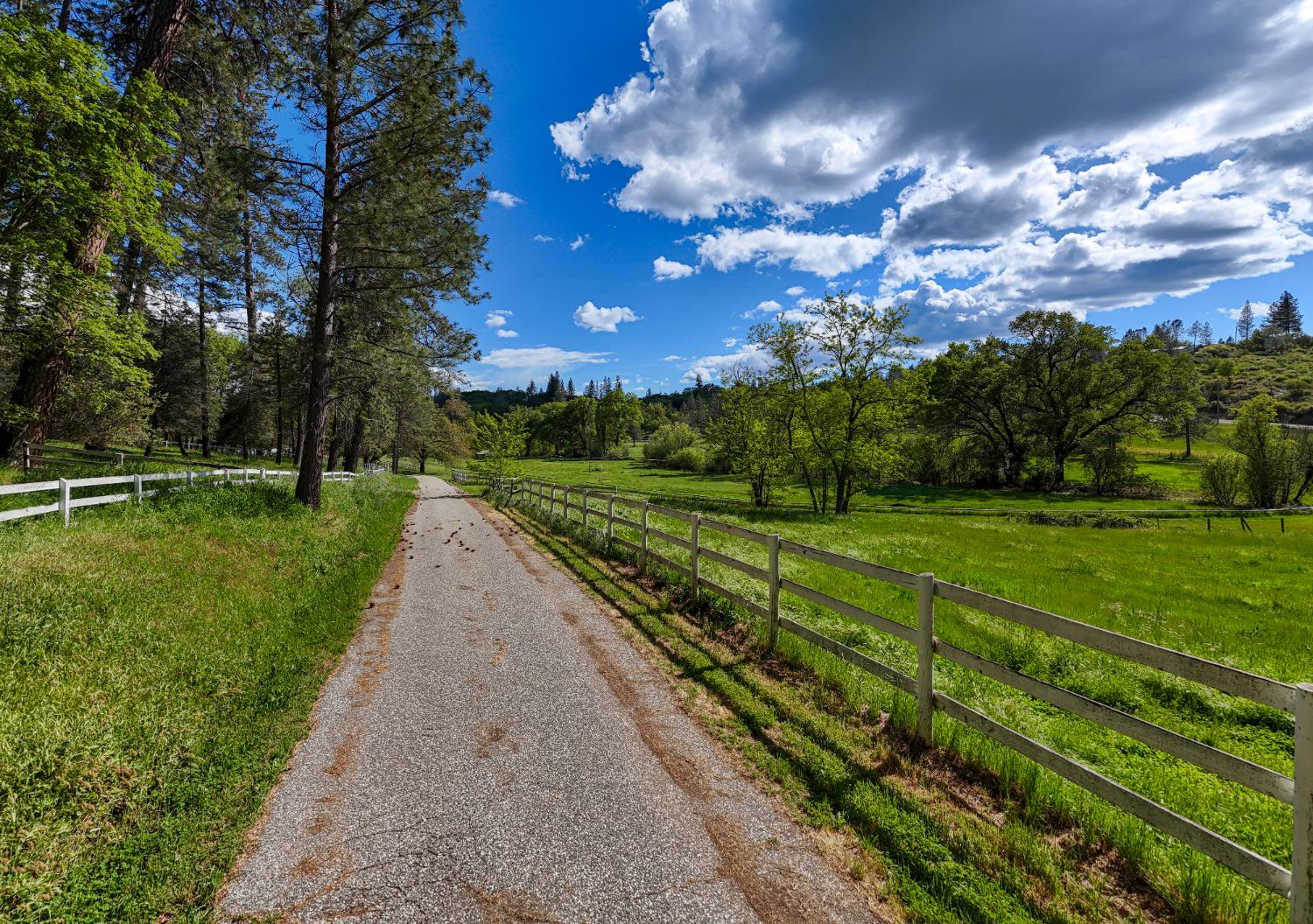 Detail Gallery Image 29 of 44 For 13615 Mccourtney Rd, Grass Valley,  CA 95949 - 2 Beds | 2/2 Baths