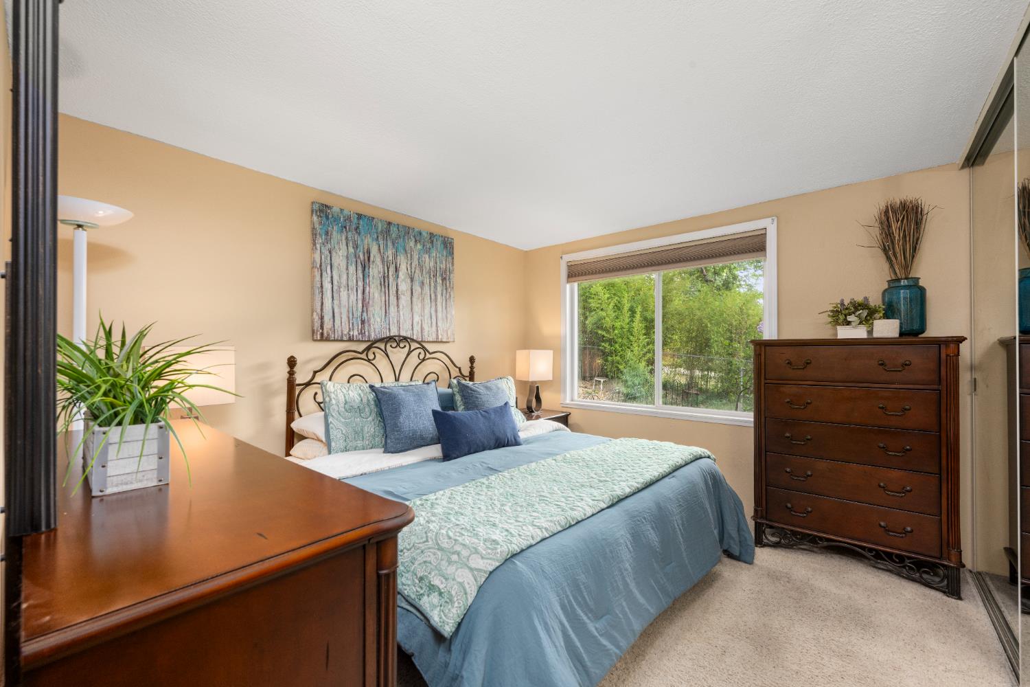 Thomas Drive, Auburn, California image 22