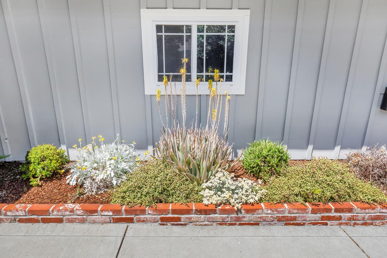 Myrtle Place, Davis, California image 5