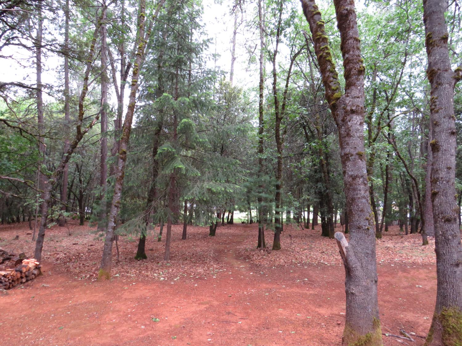 Chattering Pines Road, Grass Valley, California image 15