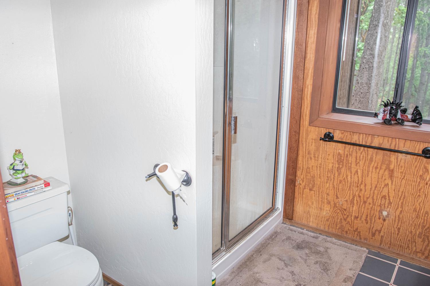 Detail Gallery Image 23 of 41 For 1681 Shelter Cove Dr, Greenwood,  CA 95635 - 3 Beds | 2 Baths