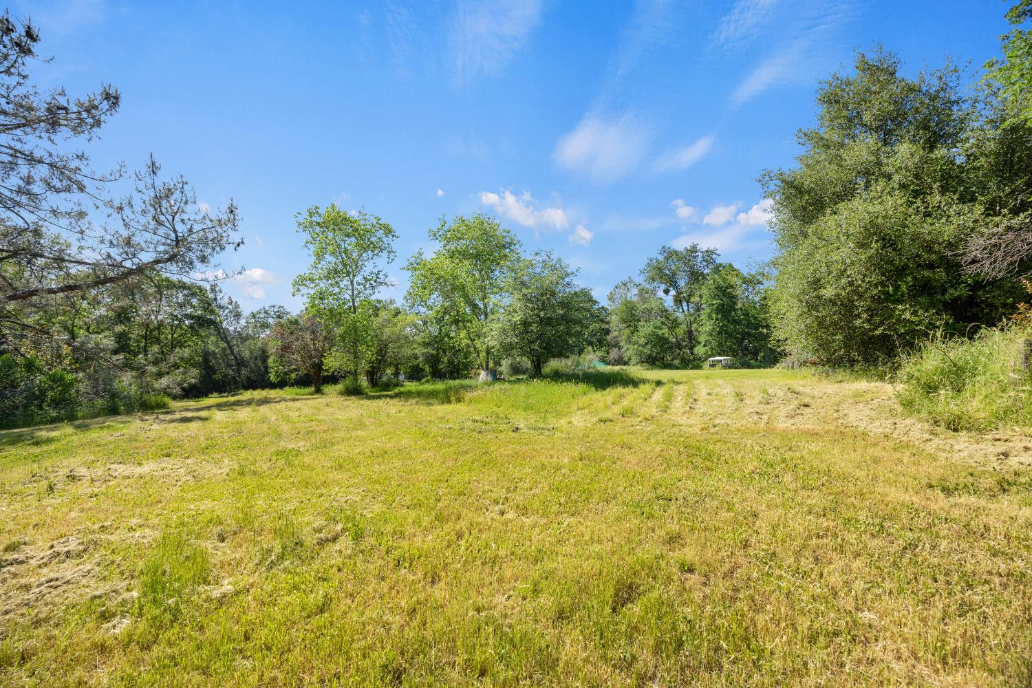 Forni Road, Placerville, California image 44
