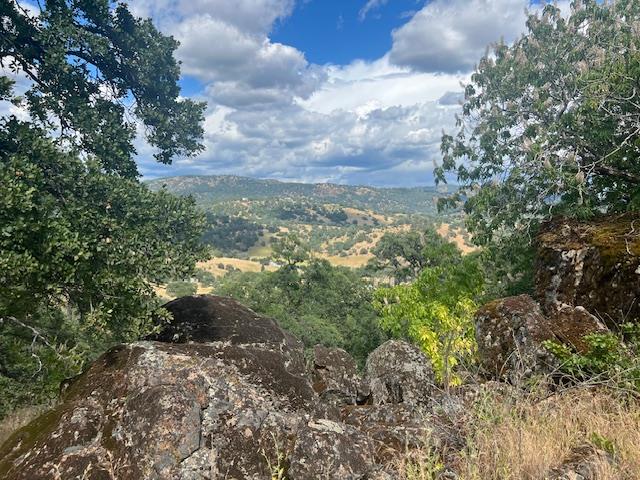 #B Peoria Road, Browns Valley, California image 5