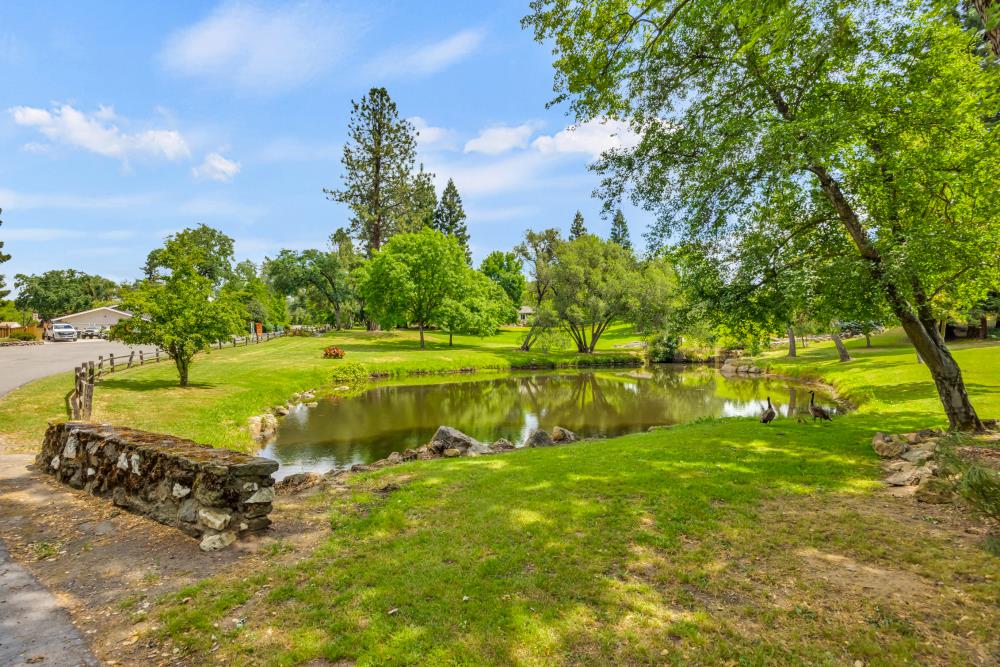 Auburn Folsom Road, Granite Bay, California image 39