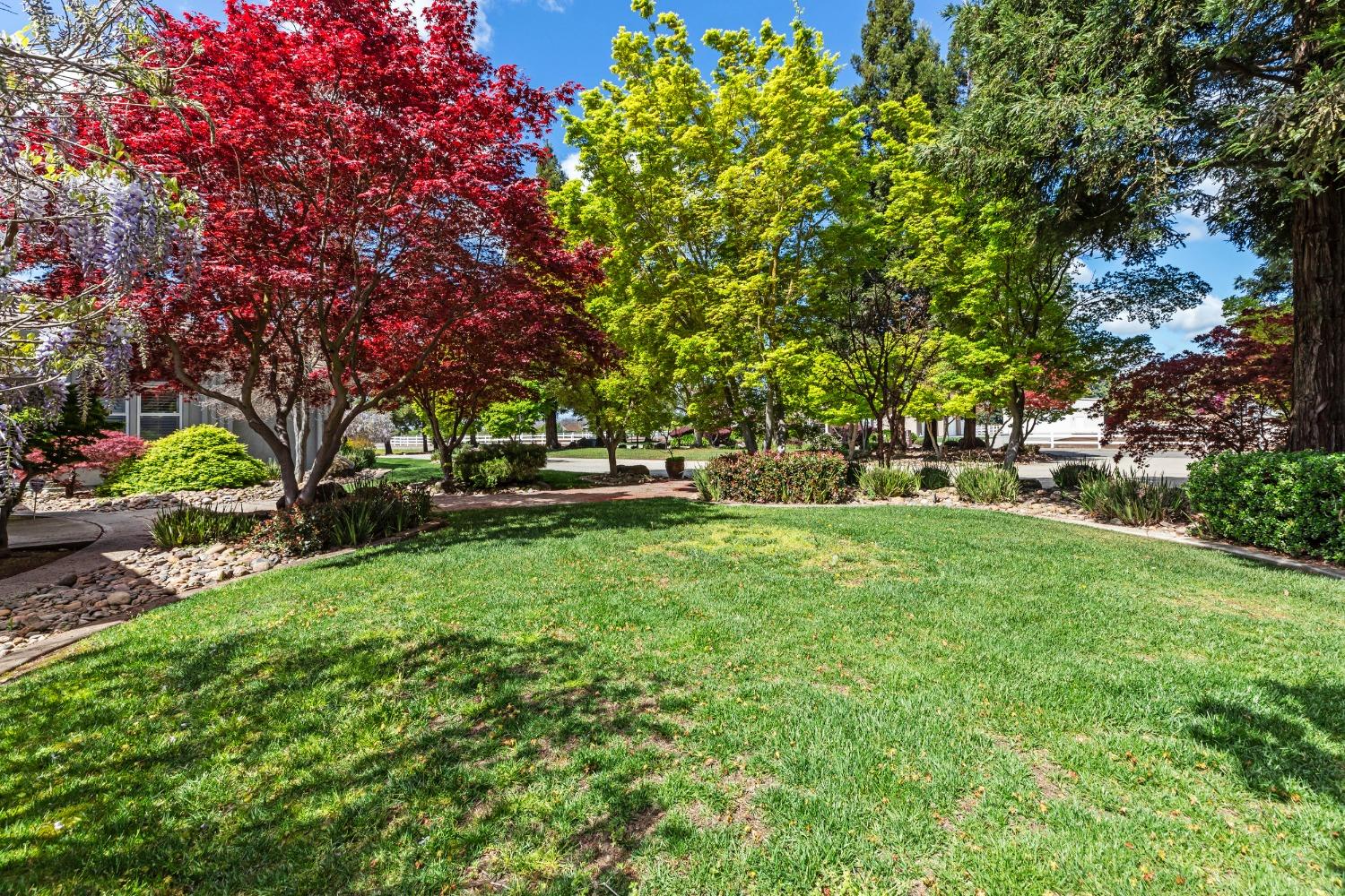 Detail Gallery Image 7 of 77 For 5000 Peach Blossom Ln, Oakdale,  CA 95361 - 5 Beds | 3/1 Baths