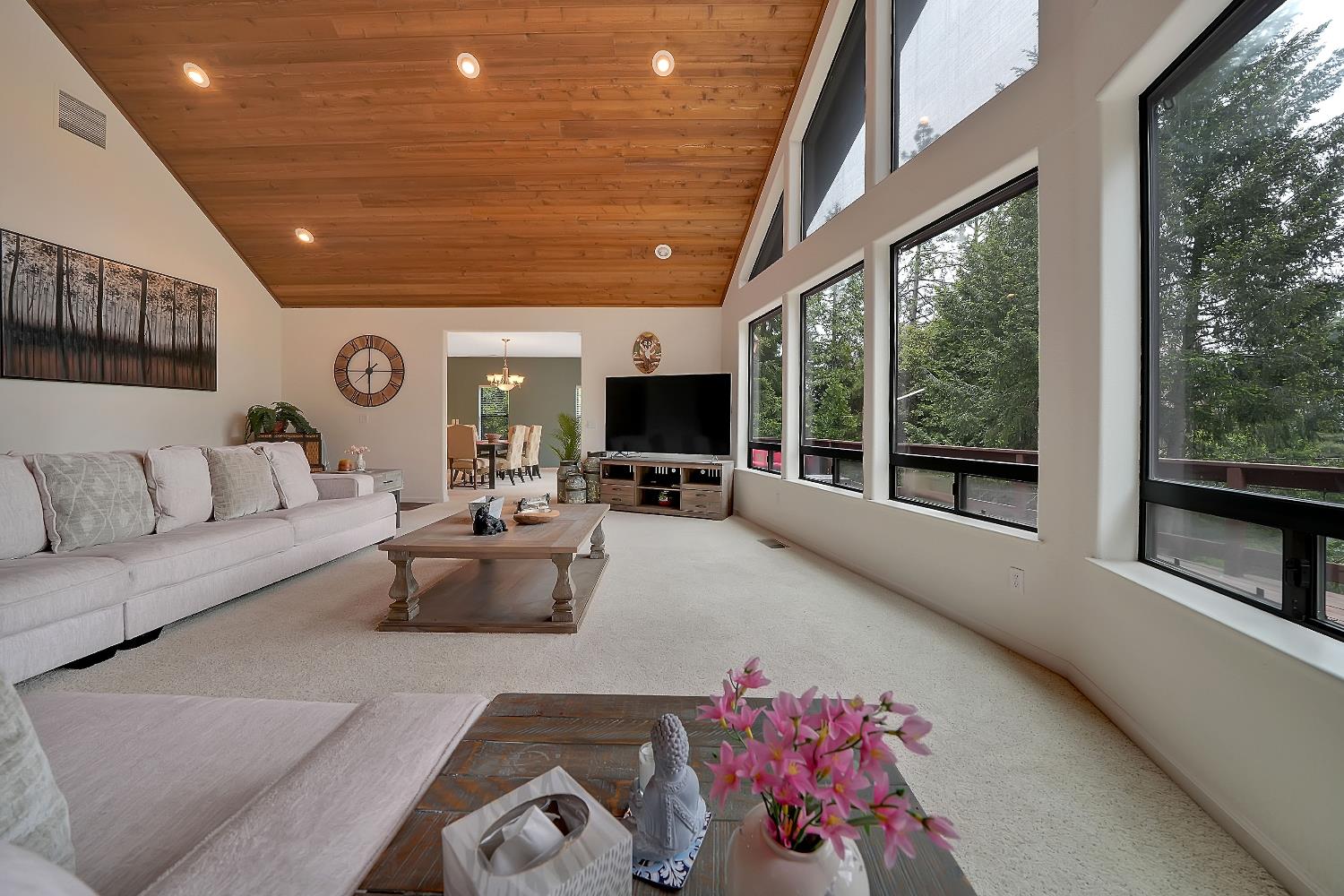 Circle View Drive, Pioneer, California image 9