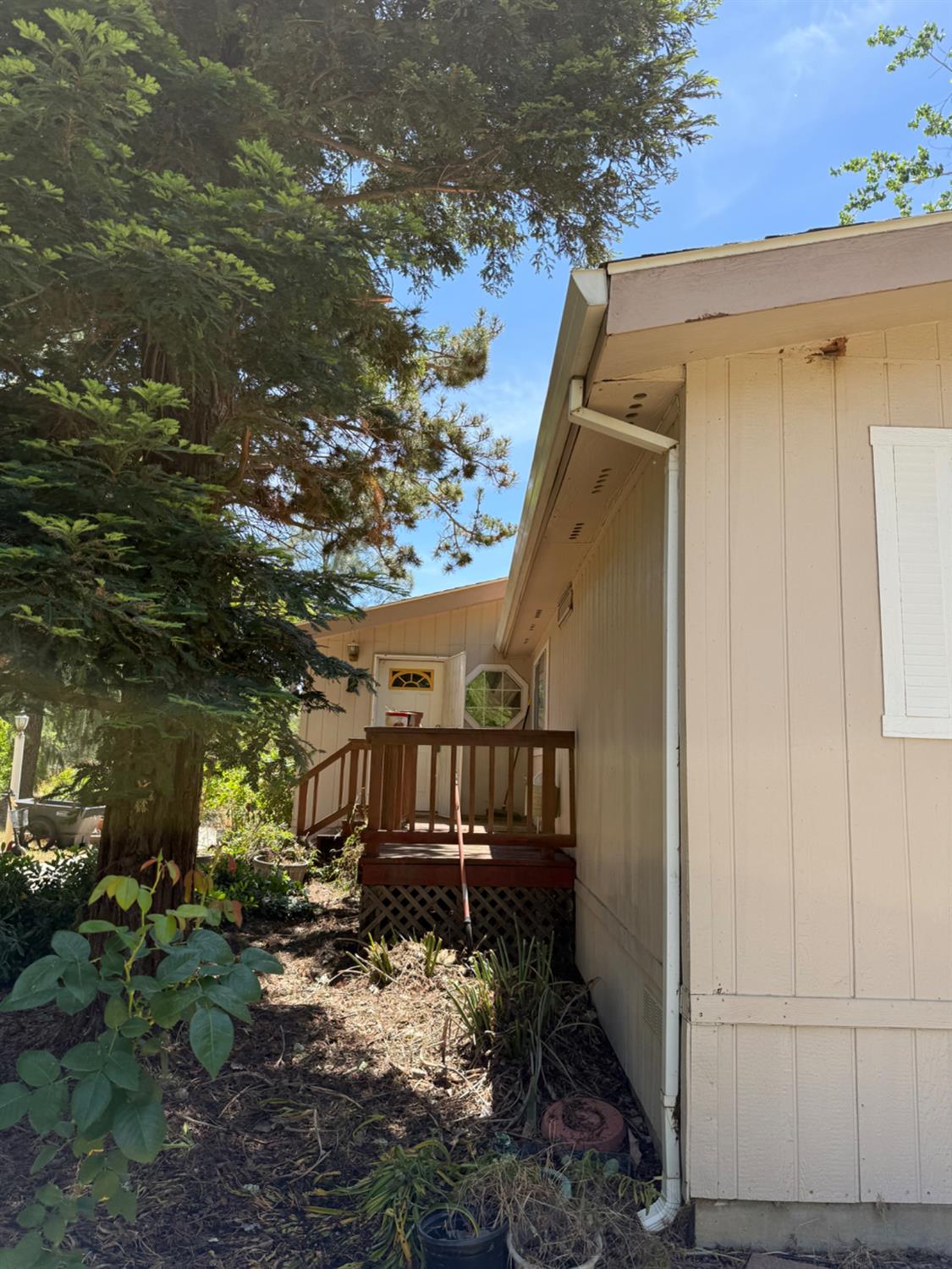 Detail Gallery Image 7 of 43 For 2130 Ramirez Ln, Dunnigan,  CA 95937 - 3 Beds | 2 Baths