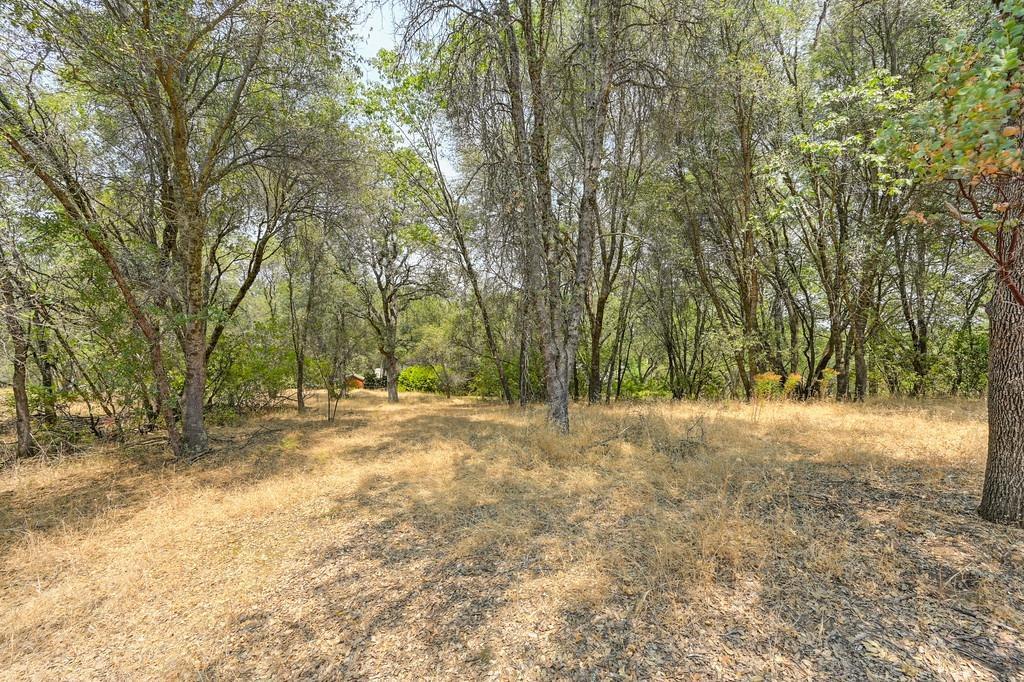 Detail Gallery Image 3 of 25 For 3390 Morel Way, Placerville,  CA 95667 - – Beds | – Baths