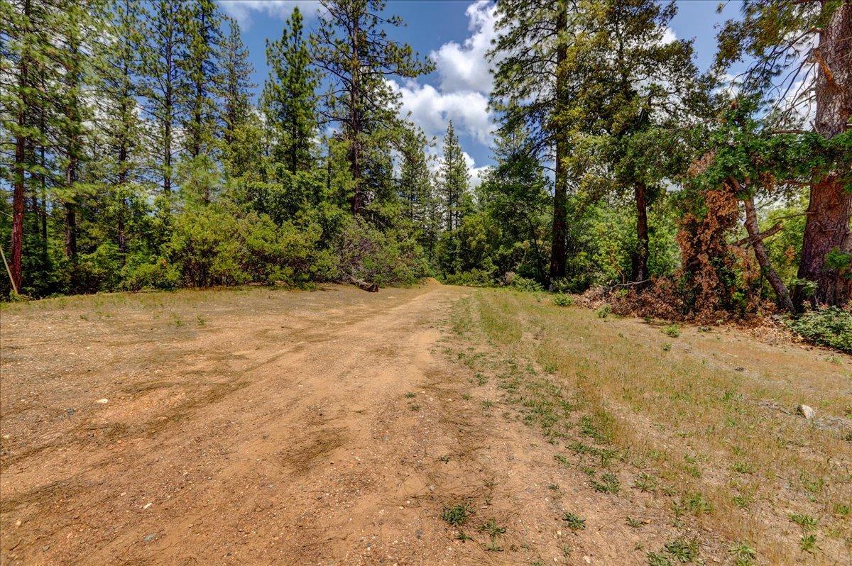 Detail Gallery Image 56 of 63 For 16856 Red Dog Rd, Nevada City,  CA 95959 - – Beds | – Baths