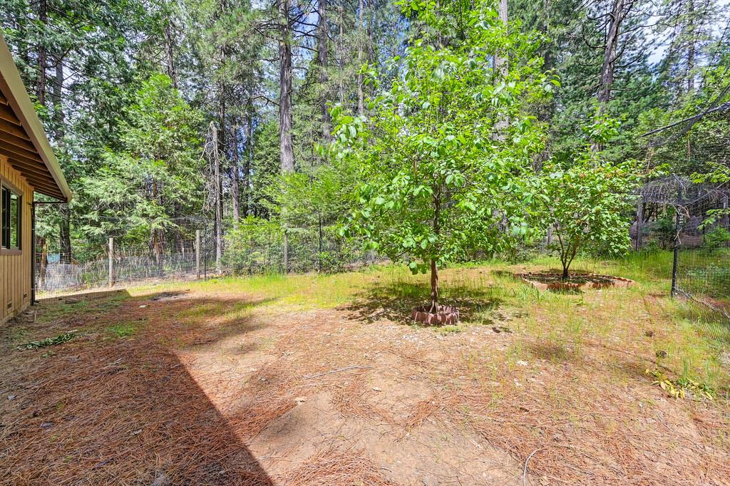 Detail Gallery Image 53 of 59 For 26149 Buckhorn Ln, Pioneer,  CA 95666 - 2 Beds | 1 Baths