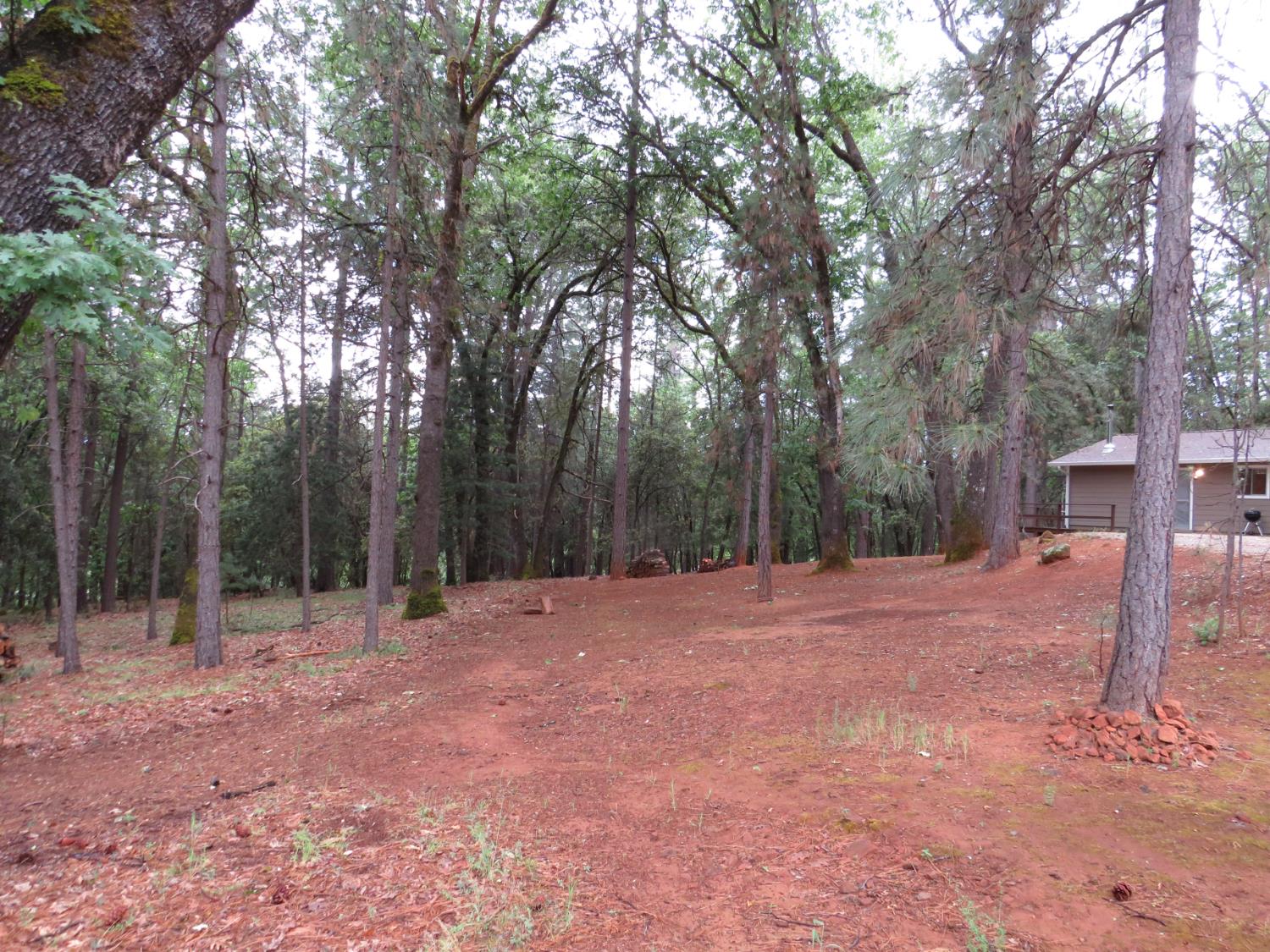 Chattering Pines Road, Grass Valley, California image 16
