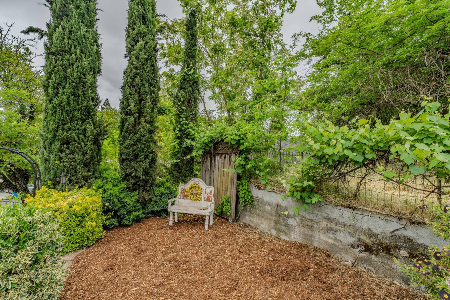 Detail Gallery Image 24 of 72 For 315 Water St, Jackson,  CA 95642 - 3 Beds | 1/1 Baths