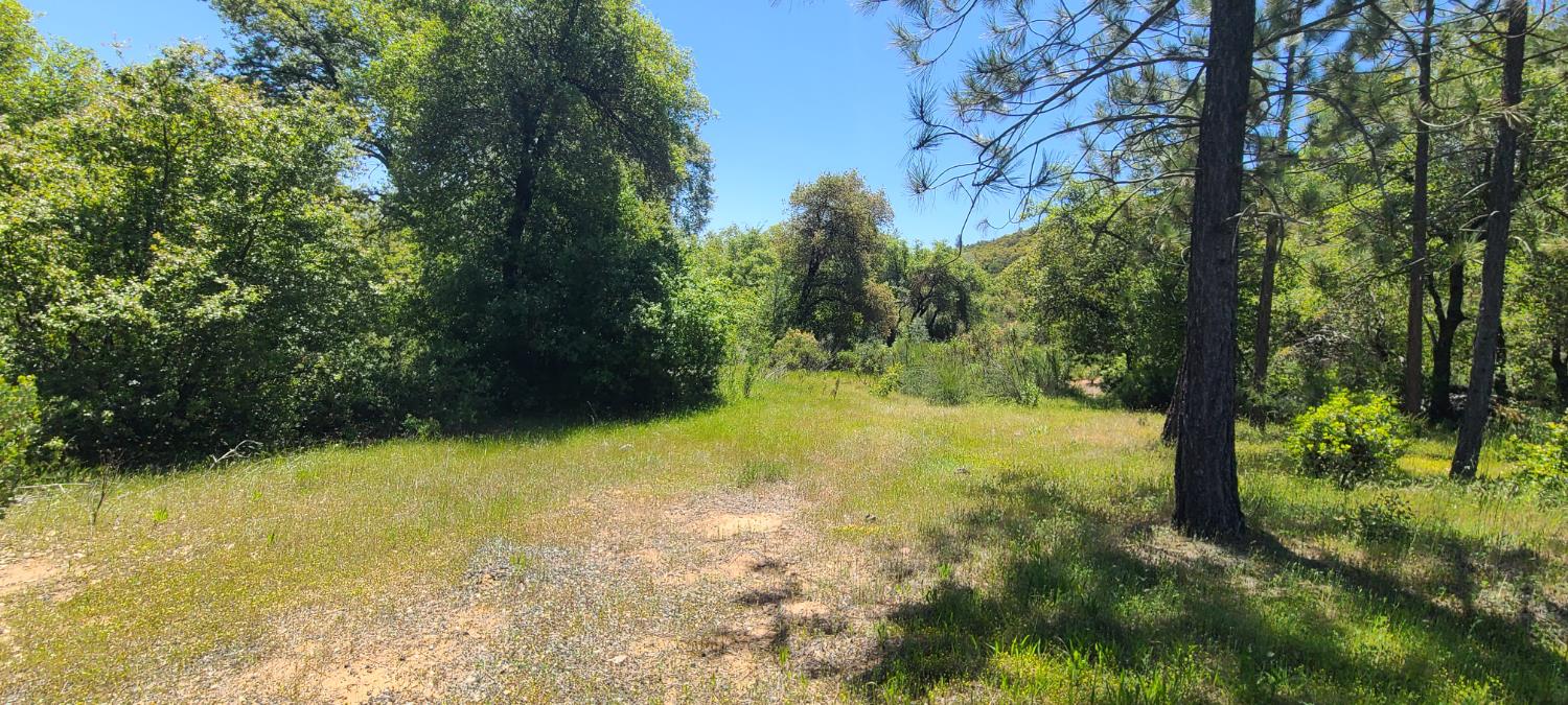 Lyons Bald Mountain Road, Sonora, California image 10