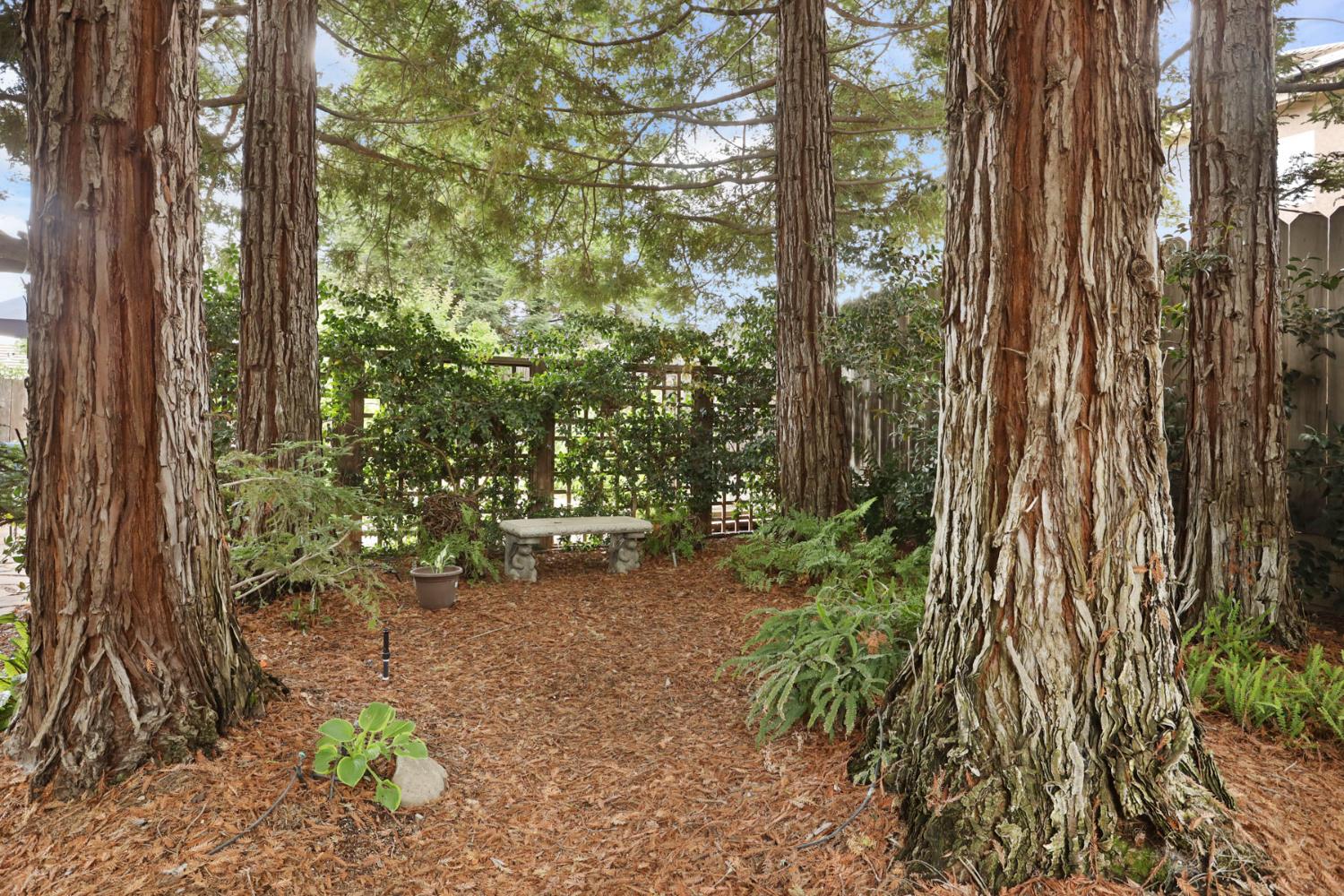 Detail Gallery Image 54 of 63 For 1037 Olson Ct, Ripon,  CA 95366 - 3 Beds | 2 Baths