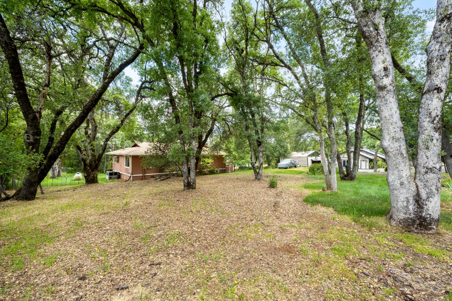 Thomas Drive, Auburn, California image 42