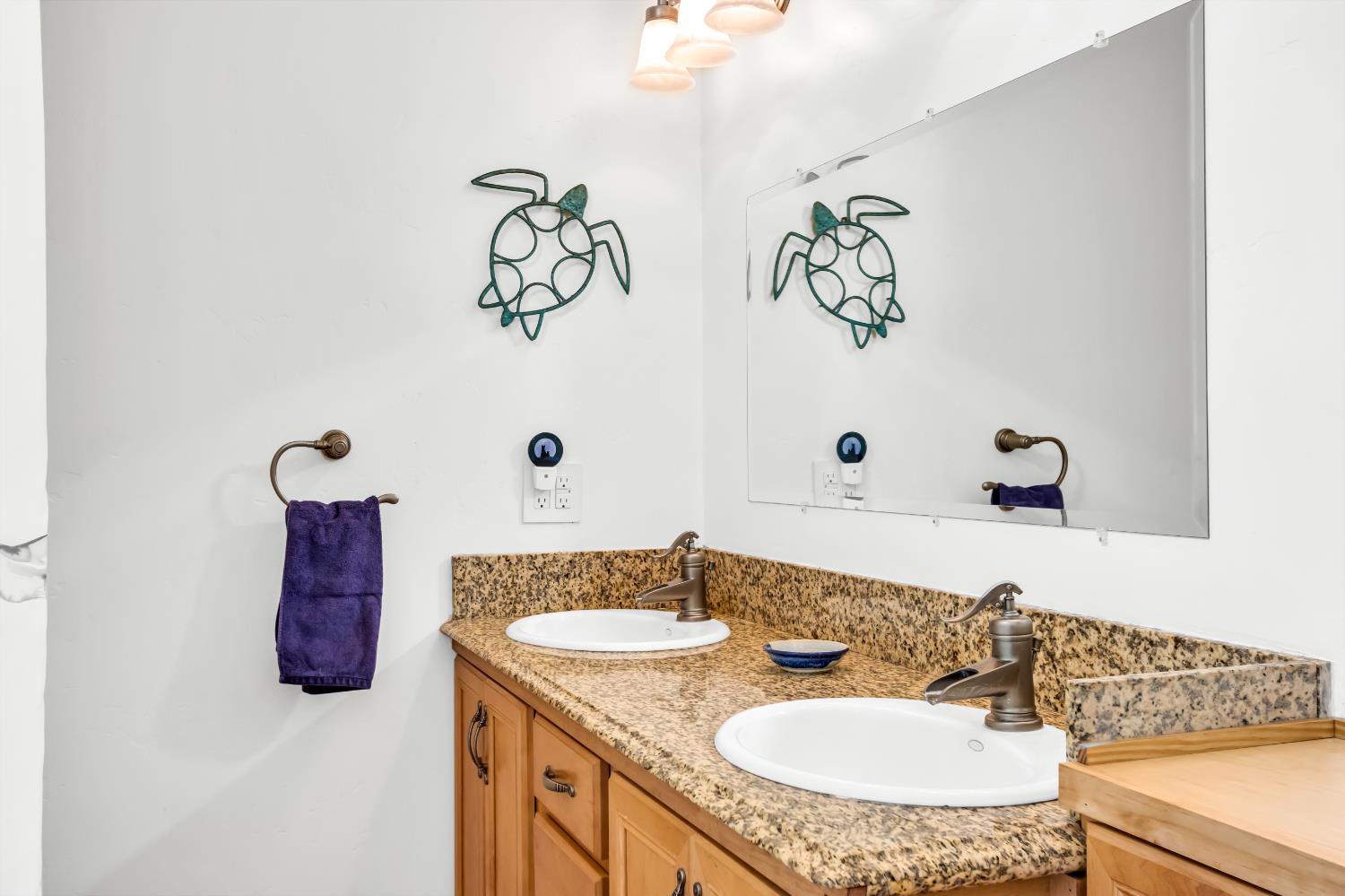 Detail Gallery Image 39 of 94 For 3857 Bannister Rd, Fair Oaks,  CA 95628 - 7 Beds | 3 Baths