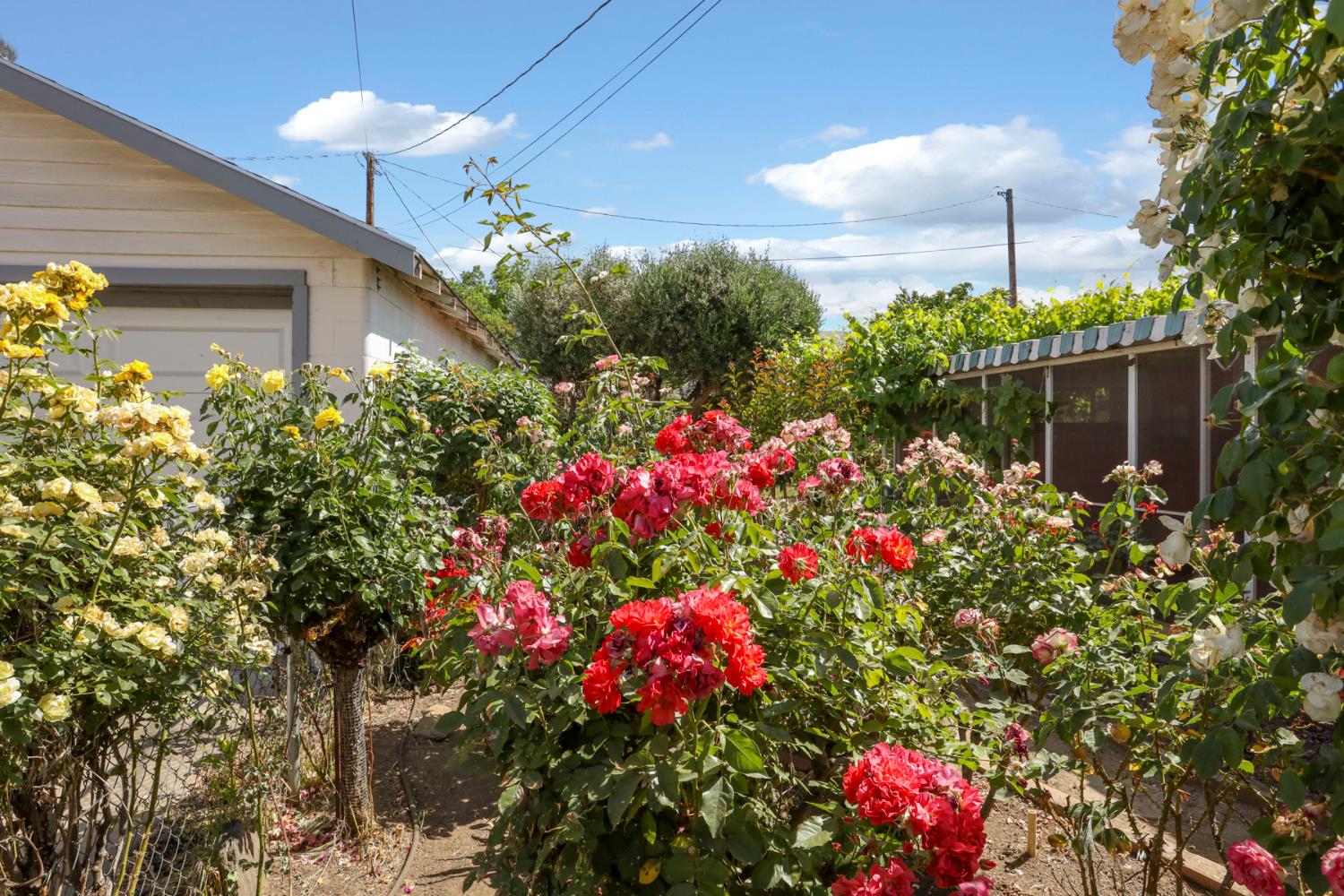Detail Gallery Image 19 of 39 For 304 E Tokay St, Lodi,  CA 95240 - 2 Beds | 2 Baths