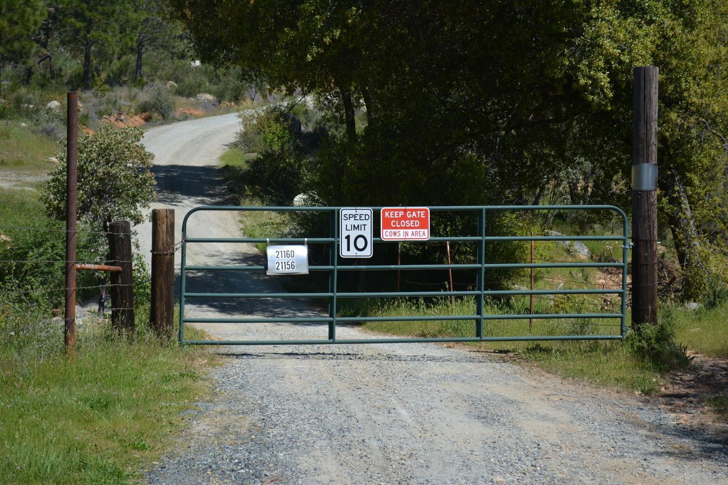 Lyons Bald Mountain Road, Sonora, California image 7
