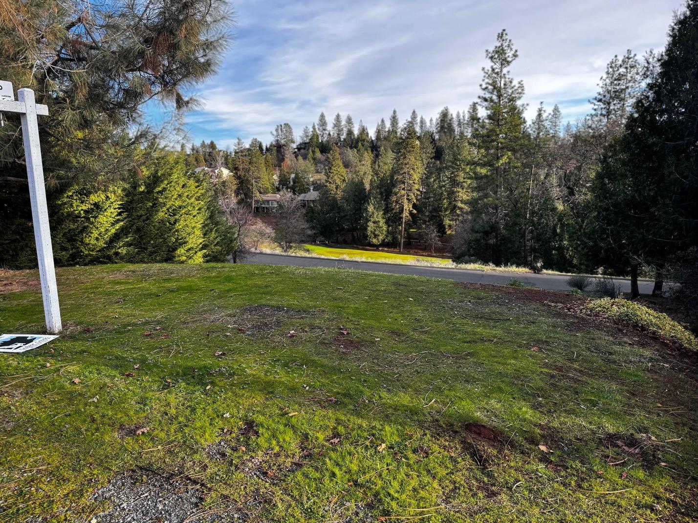 Forest Meadows Drive, Murphys, California image 8