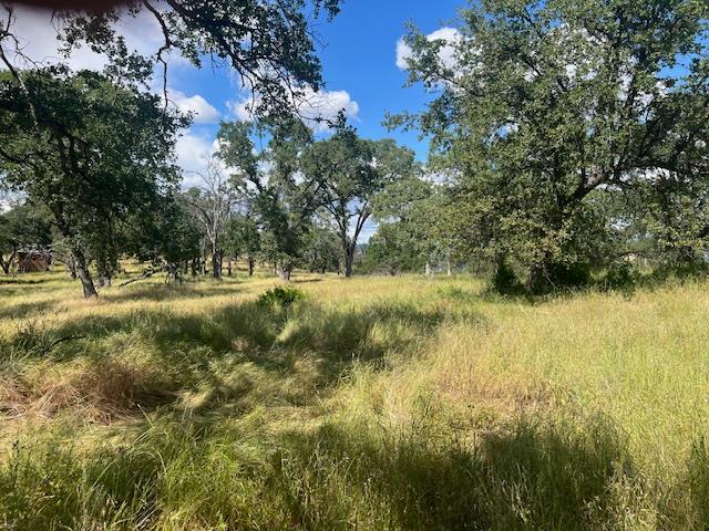 #B Peoria Road, Browns Valley, California image 3