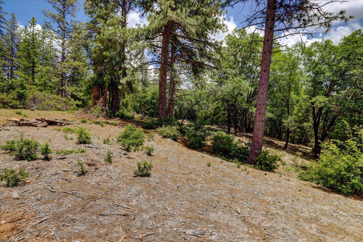 Detail Gallery Image 52 of 63 For 16856 Red Dog Rd, Nevada City,  CA 95959 - – Beds | – Baths