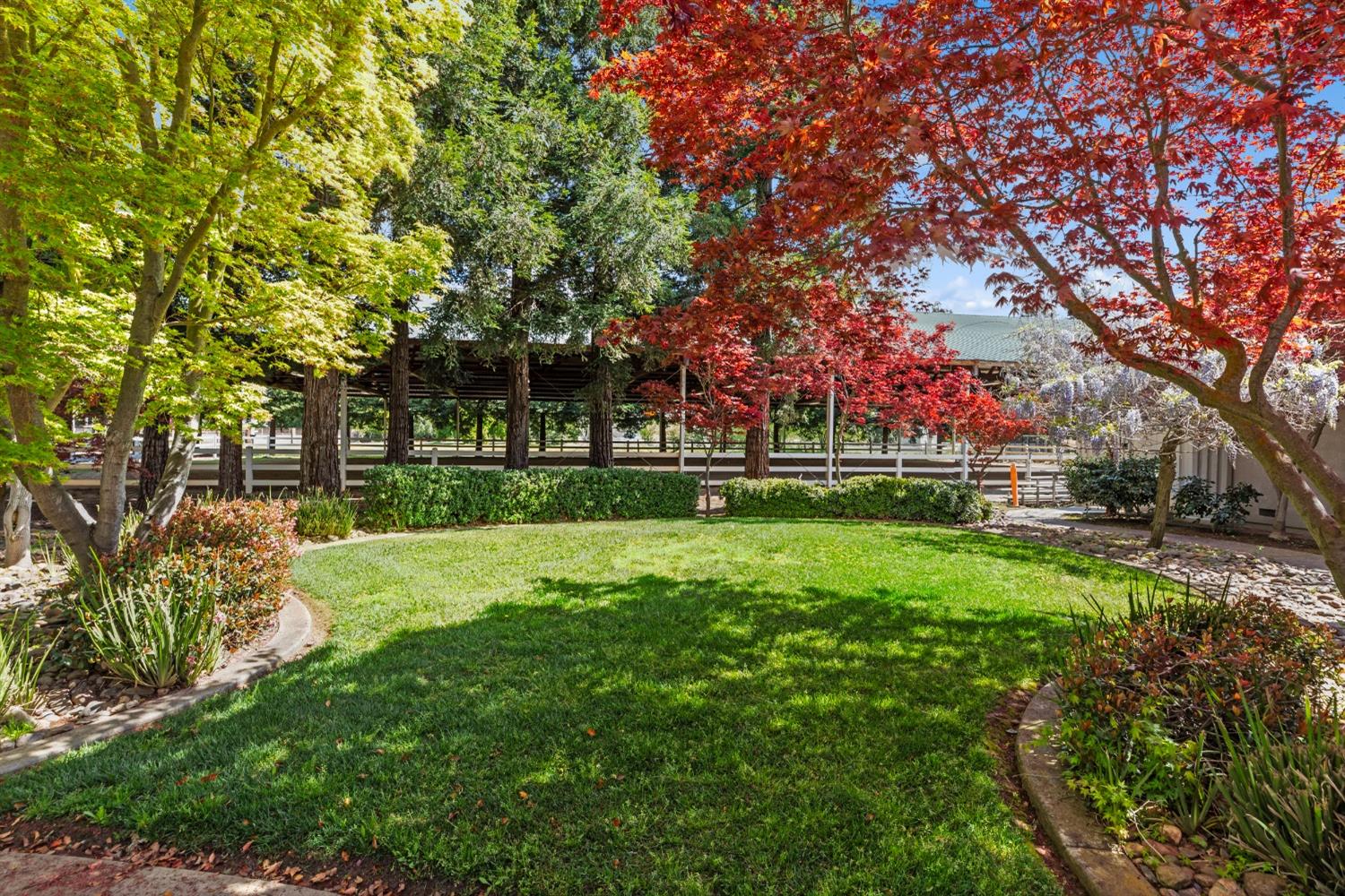 Detail Gallery Image 6 of 77 For 5000 Peach Blossom Ln, Oakdale,  CA 95361 - 5 Beds | 3/1 Baths