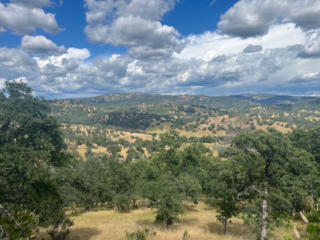 #B Peoria Road, Browns Valley, California image 1