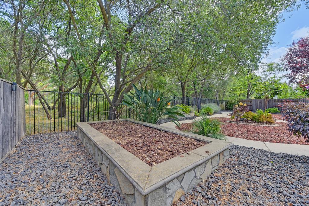 Creekbed Lane, Citrus Heights, California image 42
