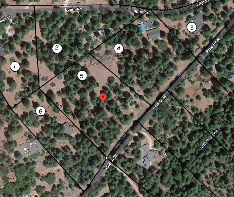 Detail Gallery Image 20 of 20 For 20081 Pine Drive West, Volcano,  CA 95689 - – Beds | – Baths